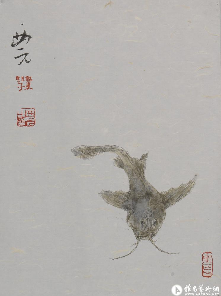 鲶鱼