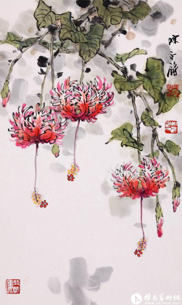 灯笼花