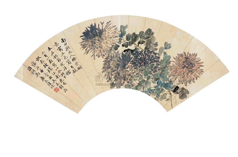 0145 菊花图 扇面