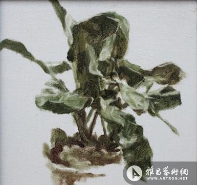 “随笔录 归鸿回望”陆志坚 王文娟 施晓杰作品展