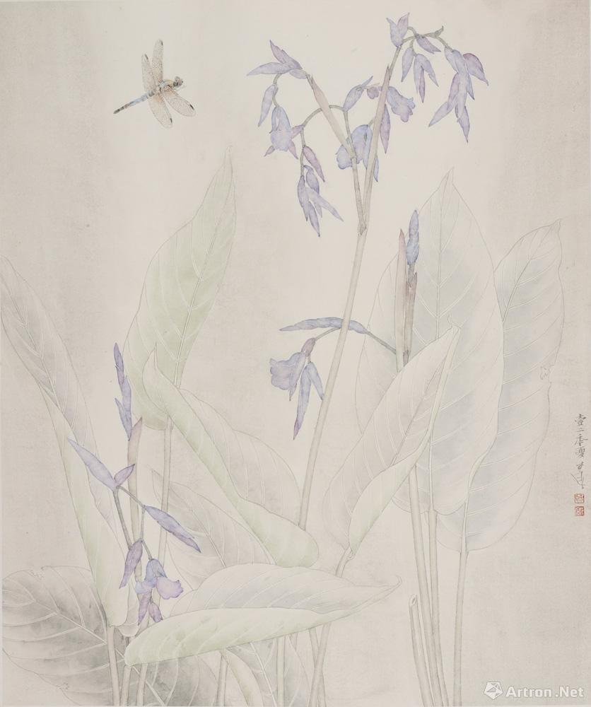 热带写生系列-竹芋之花