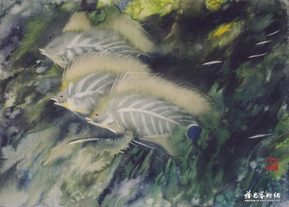 水粉水彩-鱼（1）