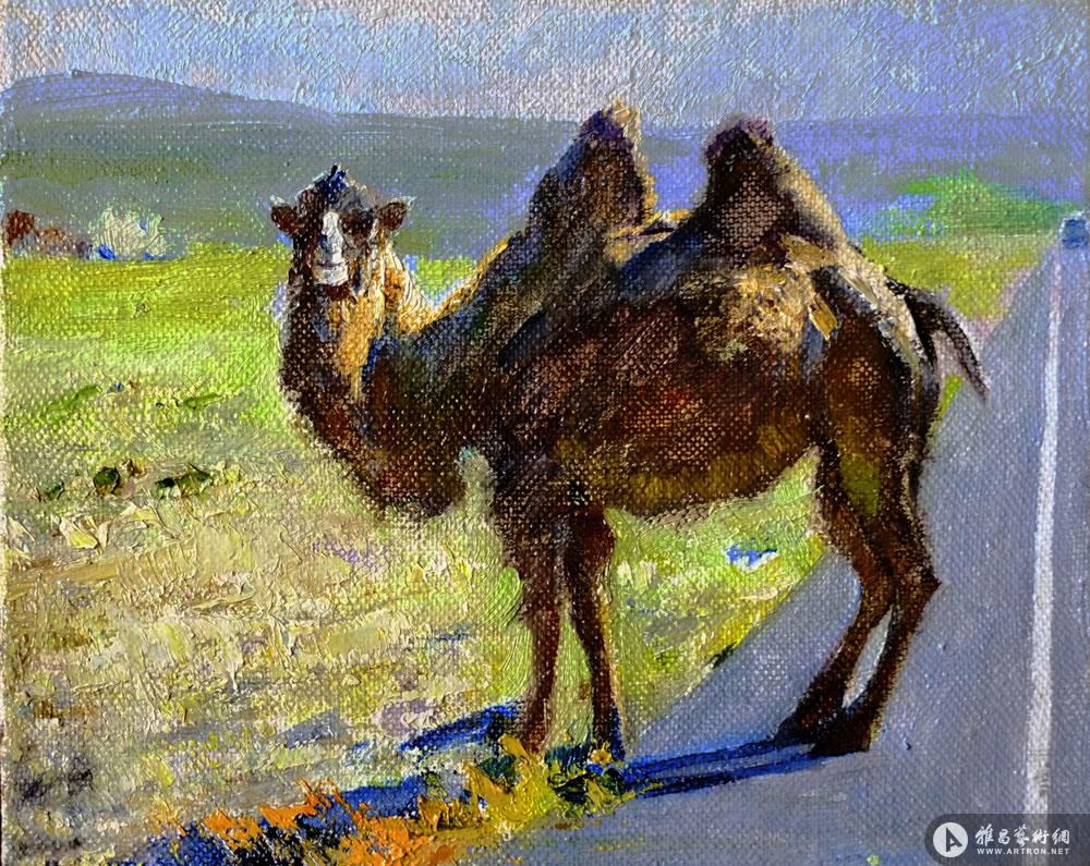 公路边的骆驼