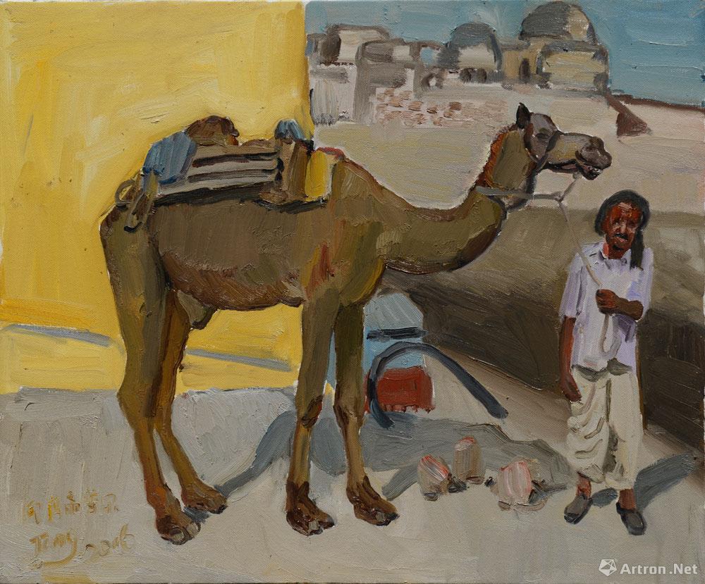 印度斋普尔的骆驼人之一