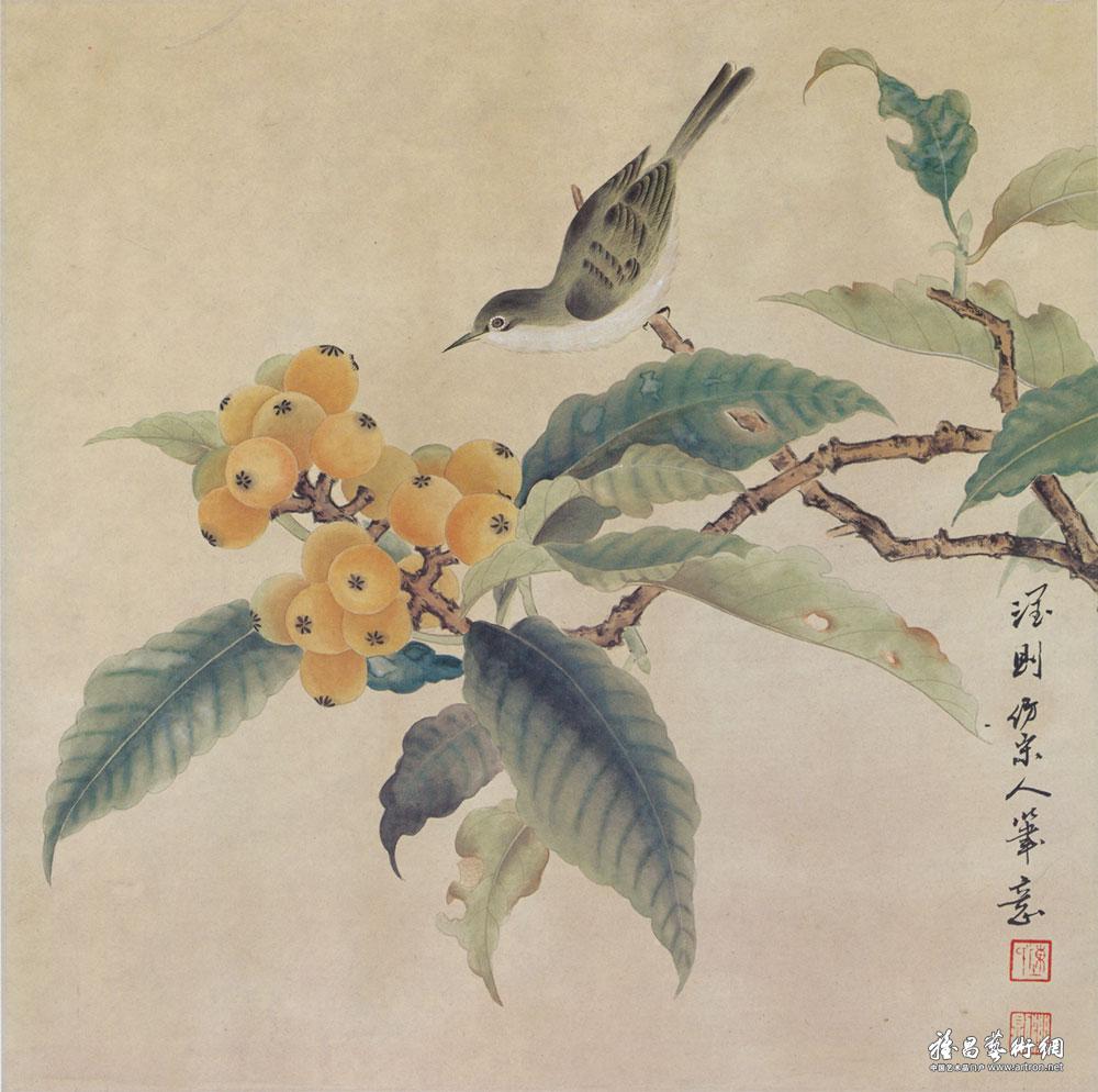 仿宋 枇杷锈眼图_国画作品在线展_陈润则作品展_陈润则在线作品_陈润