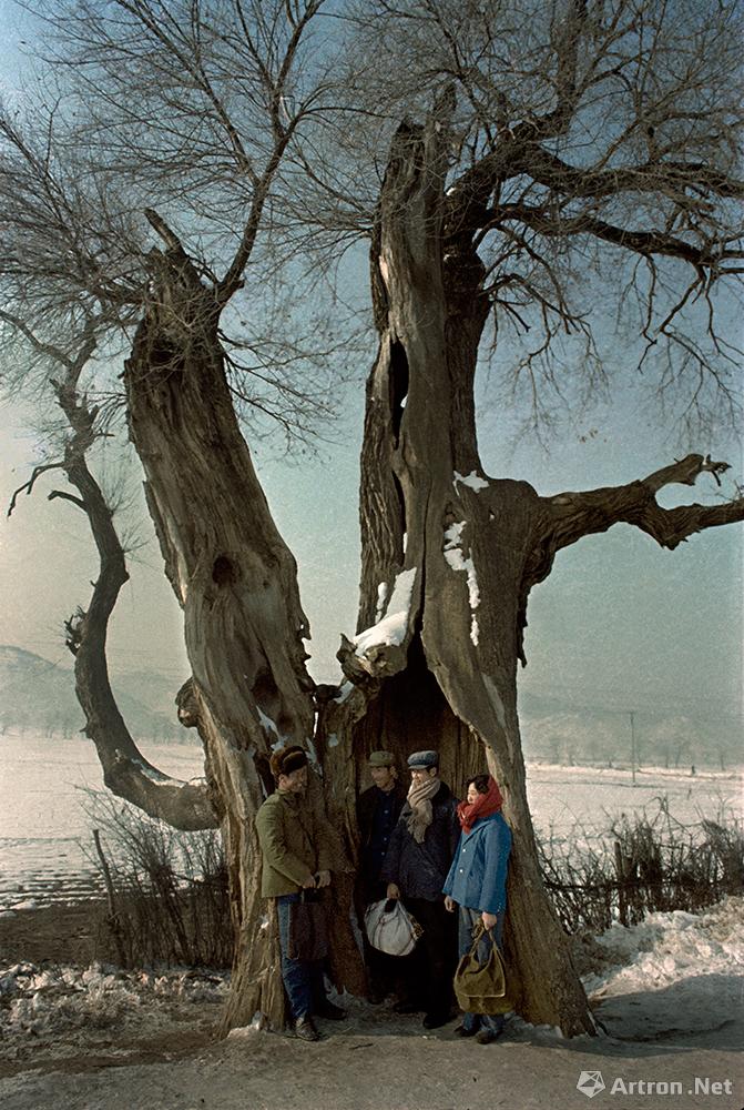 王玉文作品：1981年新宾《在树洞中等车》