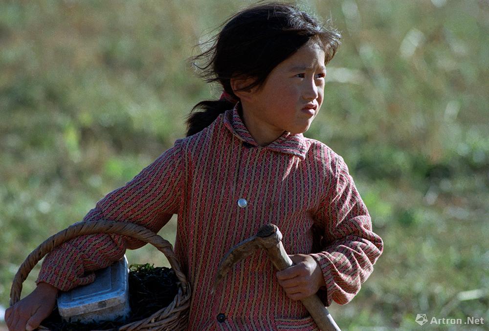 王玉文作品：1981年 挖野菜的小女孩