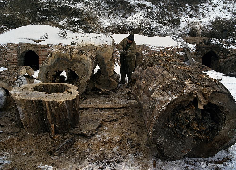 田立作品：等待被分解的木材