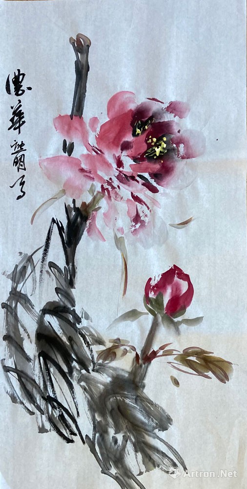 花鸟