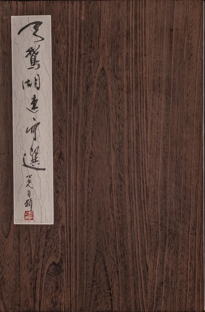 天鹅湖速写选册页（十幅）