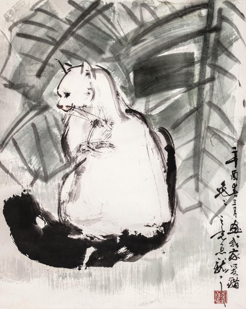 爱猫兔兔
