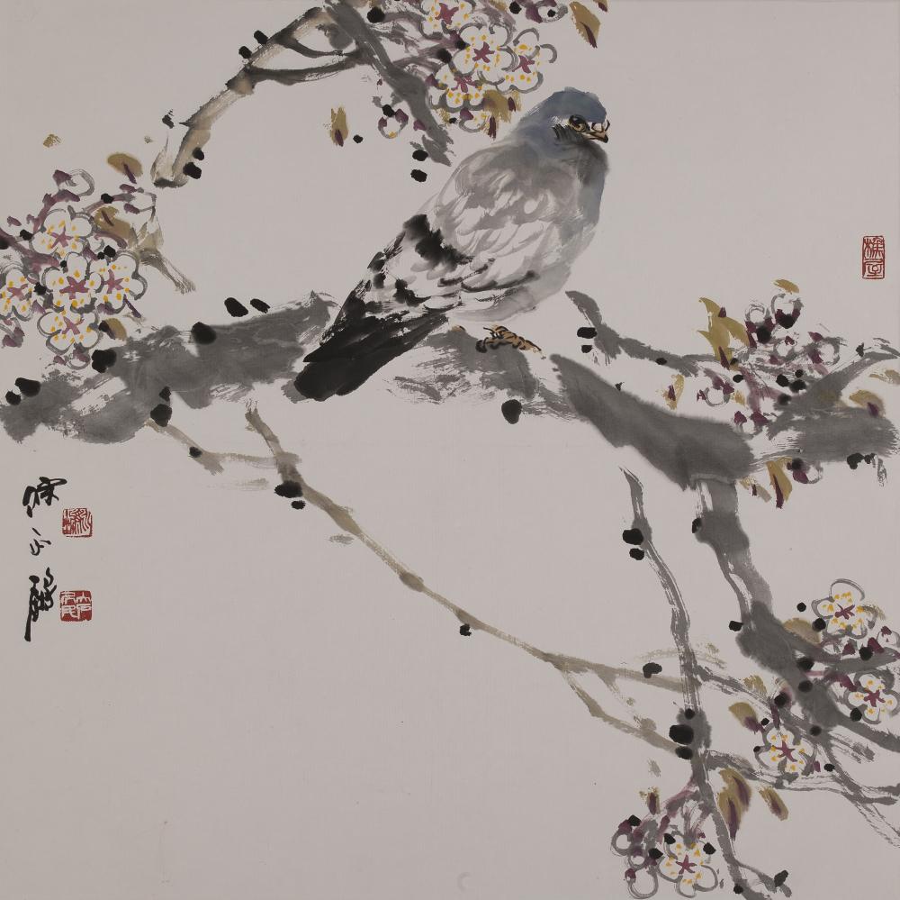 白鸽图