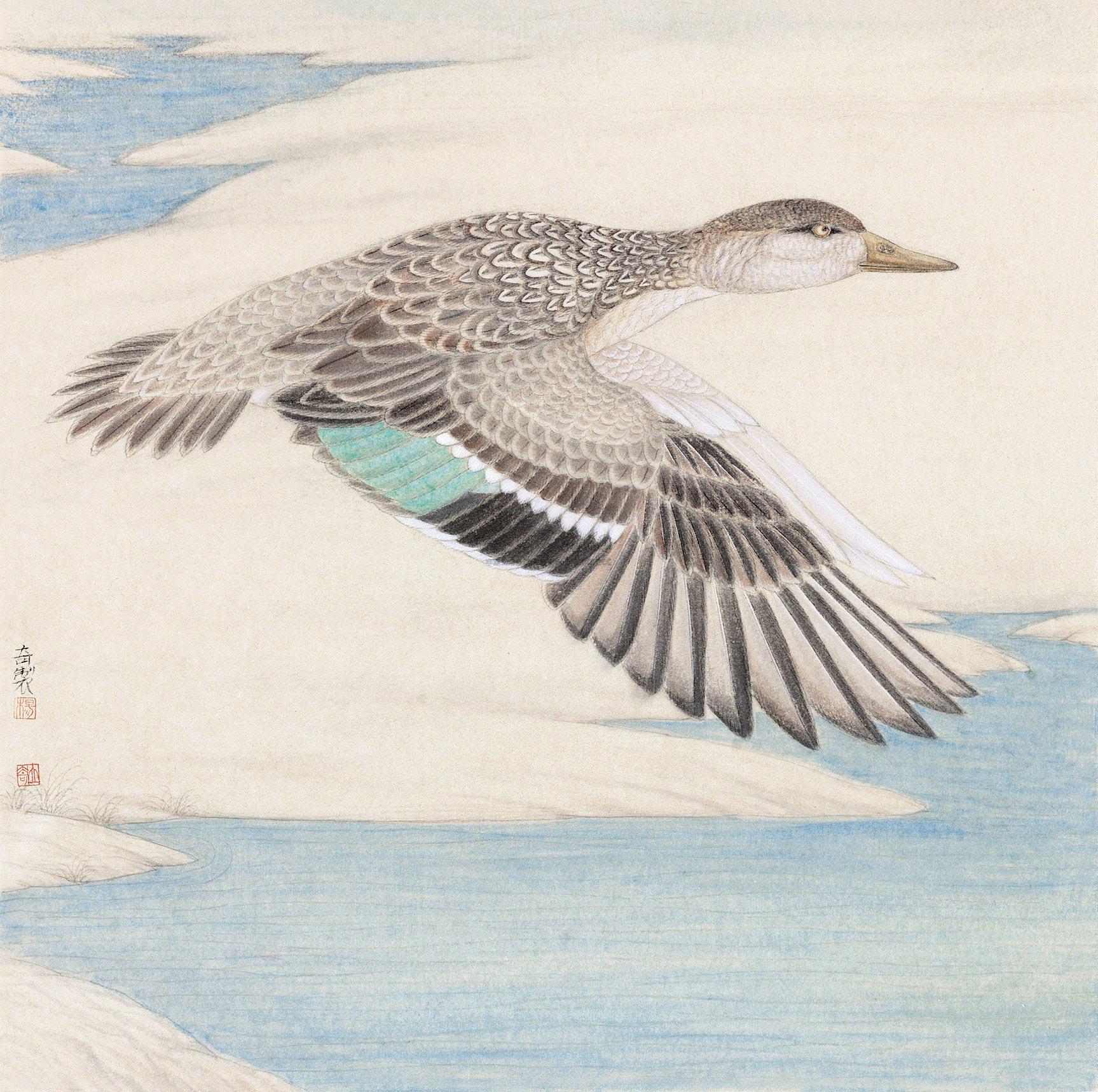 【飞鸿图 镜片 设色绢本】拍卖品_图片_价格_鉴赏_绘画_雅昌艺术品
