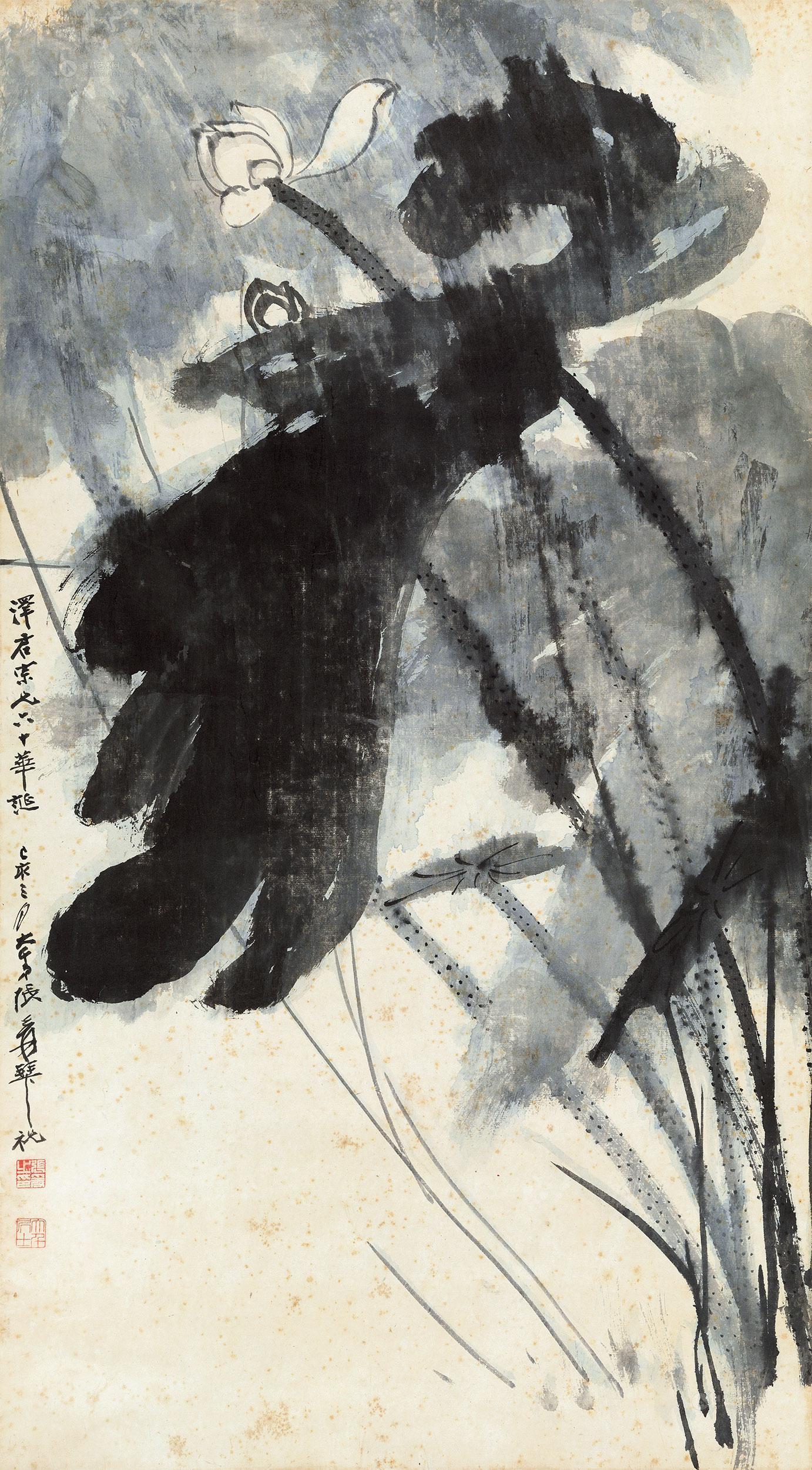 1640 1959年作 雨荷图 立轴 纸本