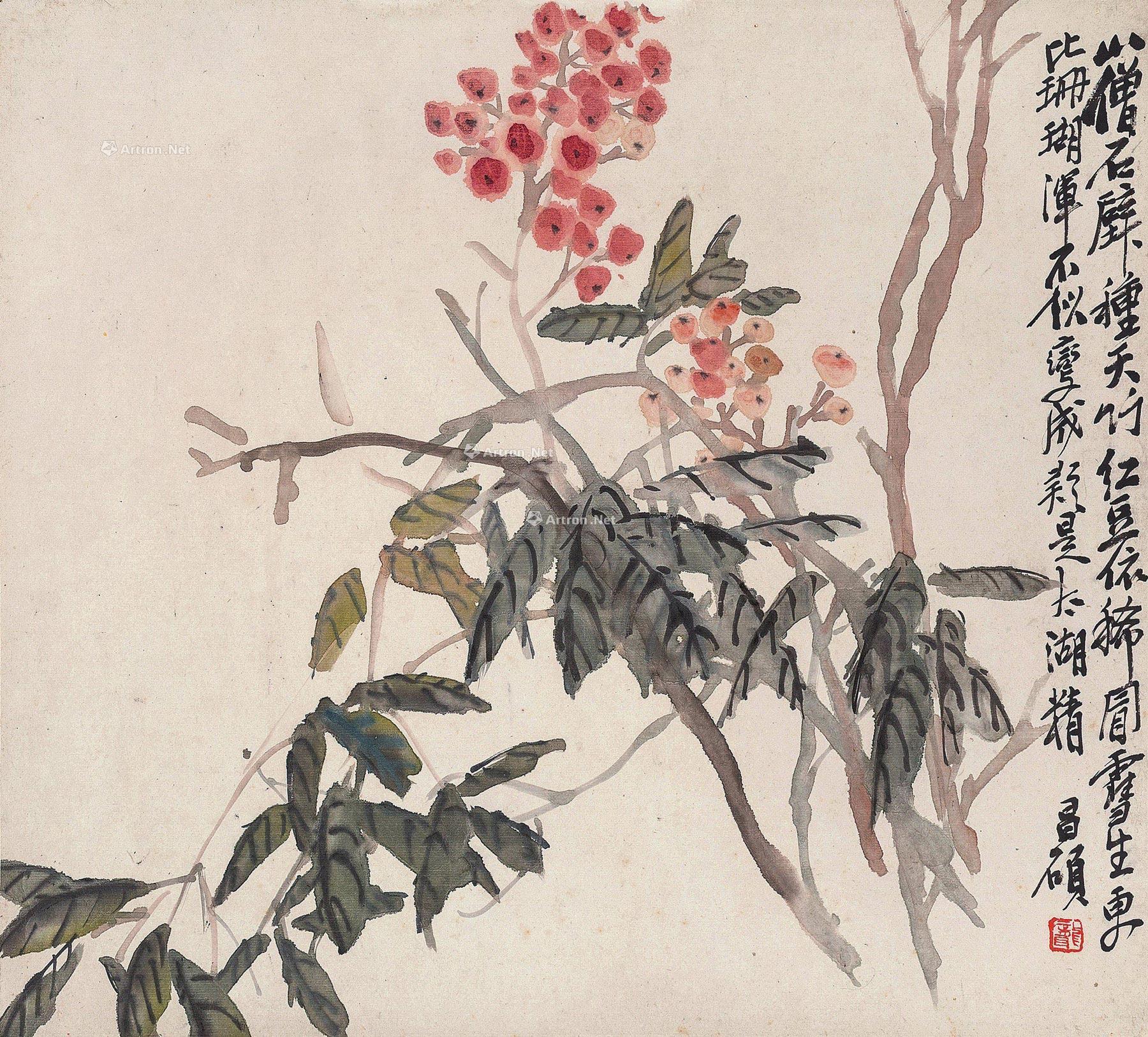 0249 天竺 立轴 纸本