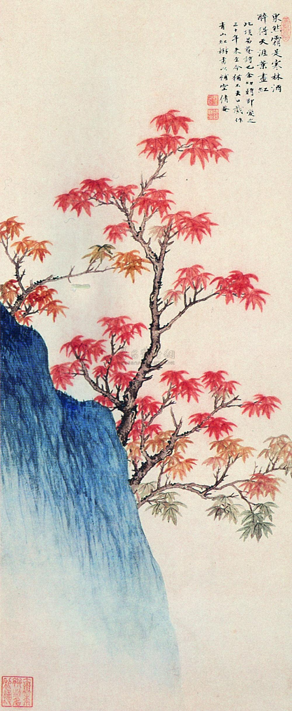 水彩枫树的画法图片