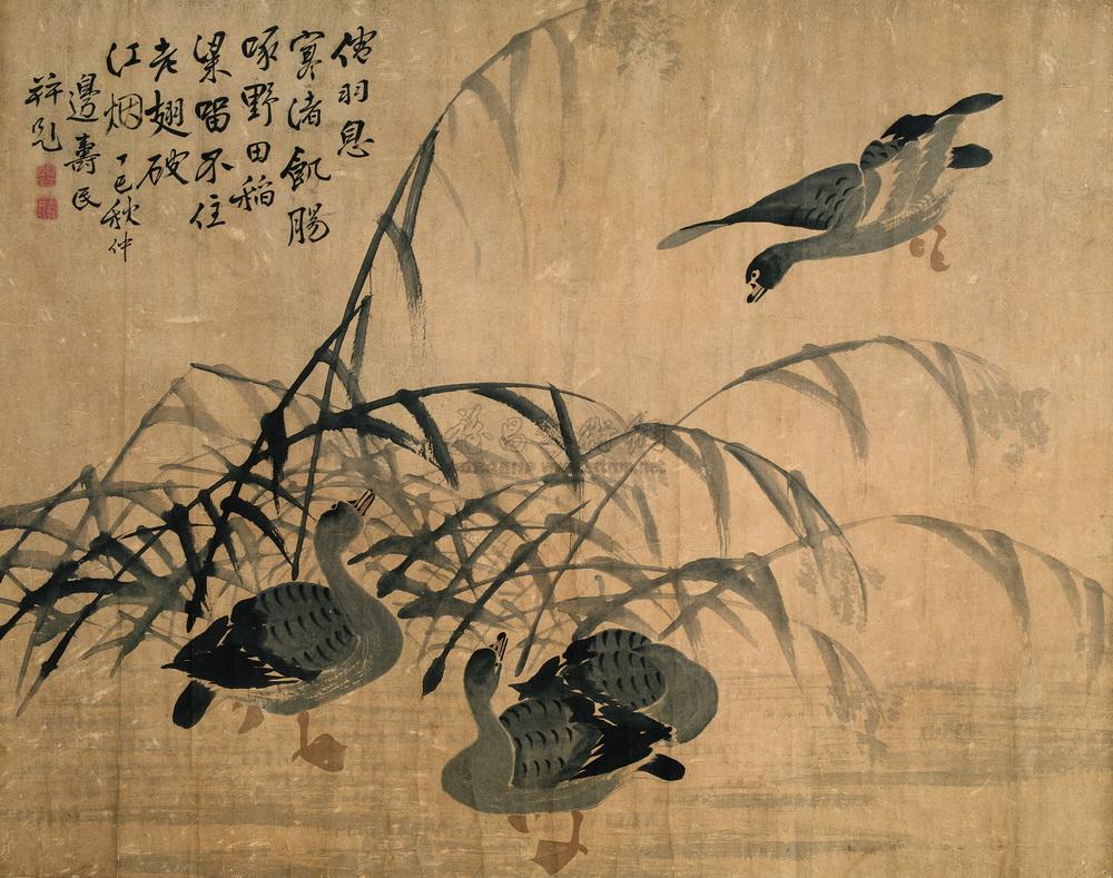 1506 1737年作 芦雁 立轴 设色纸本