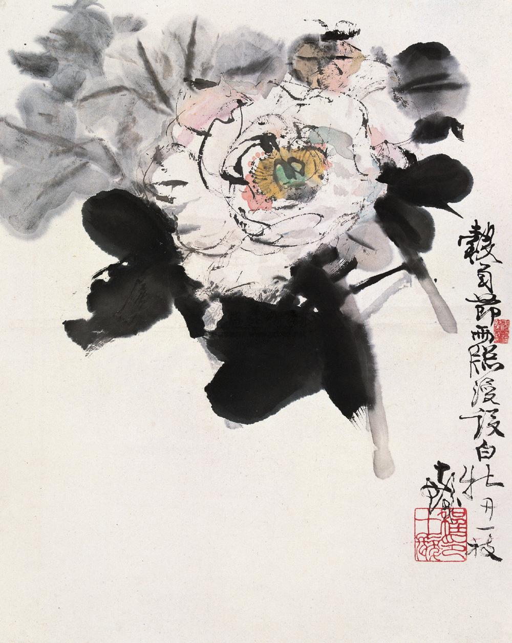 0527 白牡丹 立轴 设色纸本