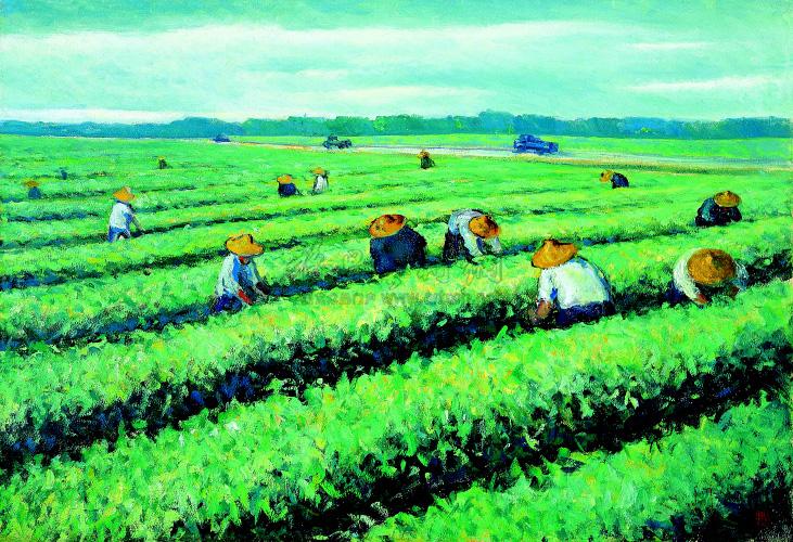 0224 1972年作 茶园 油画 木板