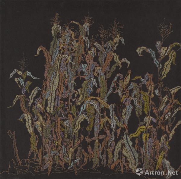 《玉米地》  章红兵 50x50cm 2013年