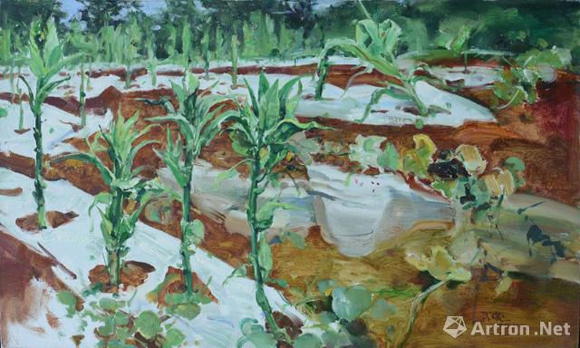 "山水云南"中国画 油画作品邀请展