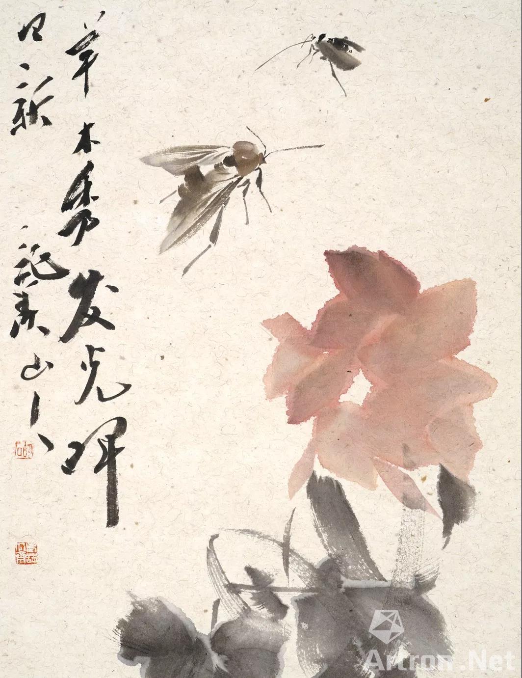 胡石                        