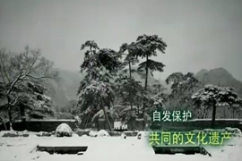 艺文中国——曾力