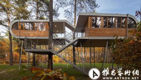 比利时Hechtel-Eksel林地建造生态树屋