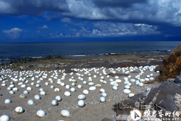 大型自然地貌装置作品《莫非·卵》亮相北海海滩