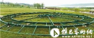 在北京见识正版大黄鸭
