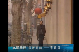 情采并丽——朱新昌