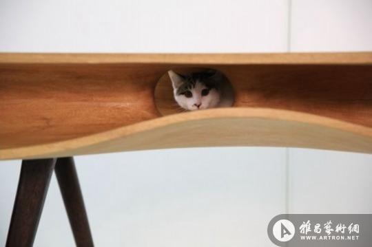 超有爱“猫桌” 躲猫猫的好去处