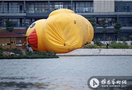 大黄鸭厦门安家半个月 不敌强风栽倒岸边(图)