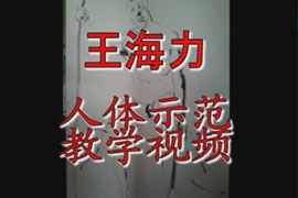 人体示范教学视频