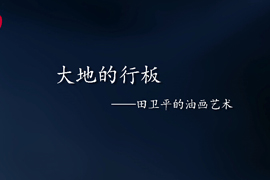 如歌的行板——田卫平