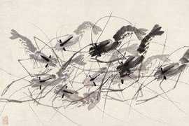 【雅昌讲堂3573期】邢捷：齐白石书画鉴定——绘画题材